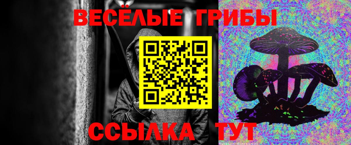 купить   Псилоцибиновые грибы GOLDEN TEACHER  Орёл  Вход с VPN  Псилоцибиновые грибы прущие грибы 