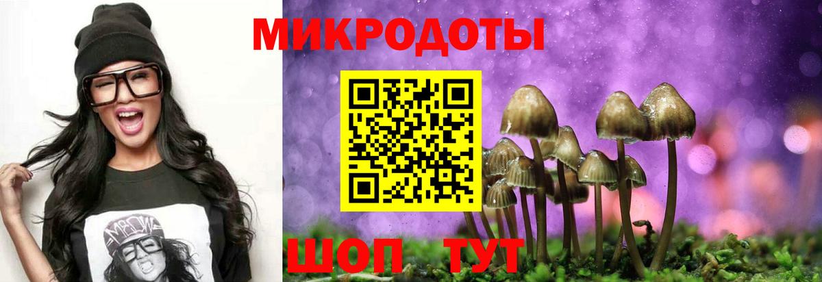 Галлюциногенные грибы MAGIC MUSHROOMS Орёл